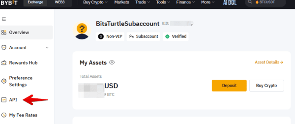 How to create API and Secret Key in ByBit Subaccount – BitsTurtle